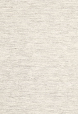 Contemporary Beige Solid Rug, con1435