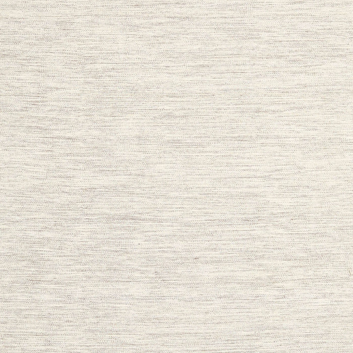 Contemporary Beige Solid Rug, con1435