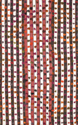 Contemporary Brown Red Southwestern Rug, con146