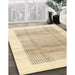 Machine Washable Contemporary Khaki Gold Rug in a Family Room, wshcon1517