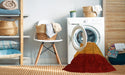 Machine Washable Contemporary Scarlet Red Rug in a Washing Machine, wshcon1524