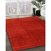 Machine Washable Contemporary Red Rug in a Family Room, wshcon1525