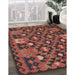 Contemporary Saffron Red Oriental Rug in Family Room, con1688