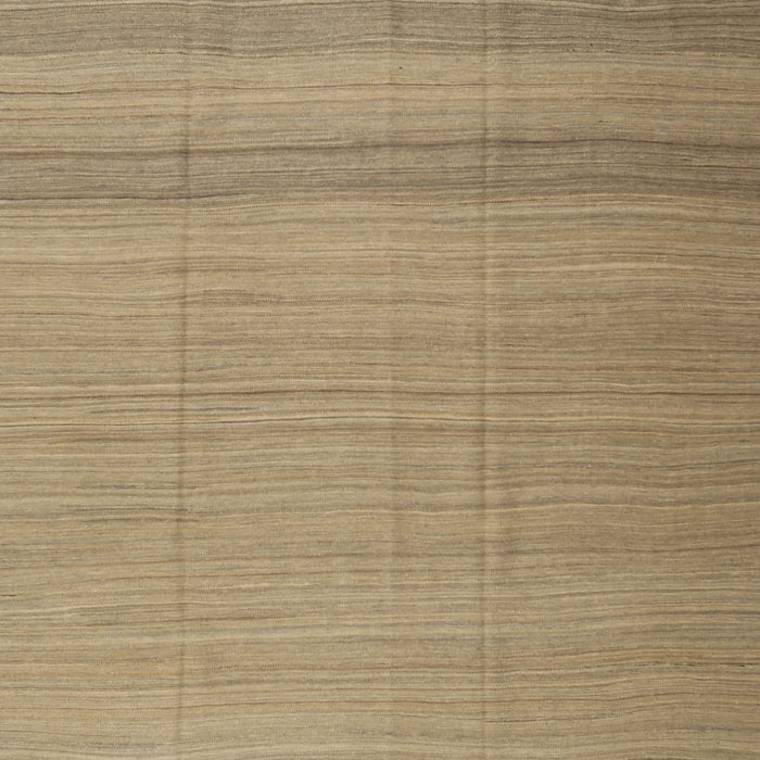 Contemporary Copper Green Modern Rug, con1708