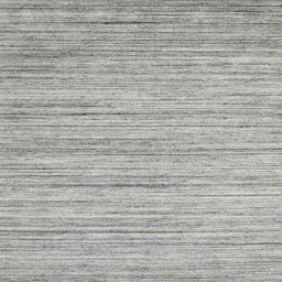 Sideview of Machine Washable Contemporary Pale Silver Gray Rug, wshcon1718