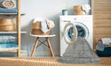 Machine Washable Contemporary Pale Silver Gray Rug in a Washing Machine, wshcon1718