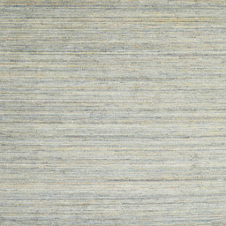 Sideview of Machine Washable Contemporary Pale Silver Gray Rug, wshcon1719