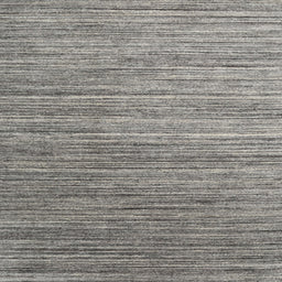 Sideview of Machine Washable Contemporary Dark Gray Rug, wshcon1728