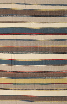 Contemporary Brown Modern Rug, con1735