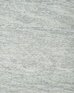 Contemporary Gunmetal Gray Modern Rug, con1738