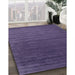 Machine Washable Contemporary Purple Haze Purple Rug in a Family Room, wshcon173