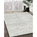 Machine Washable Contemporary Cloud Gray Rug in a Family Room, wshcon1741