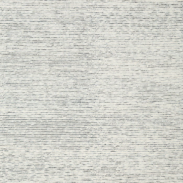 Contemporary Cloud Gray Modern Rug, con1741