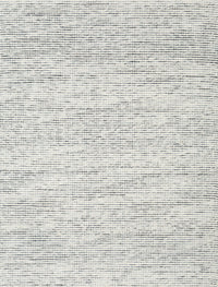 Machine Washable Contemporary Dark Gray Rug, wshcon1744