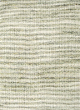 Contemporary Gold Modern Rug, con1758