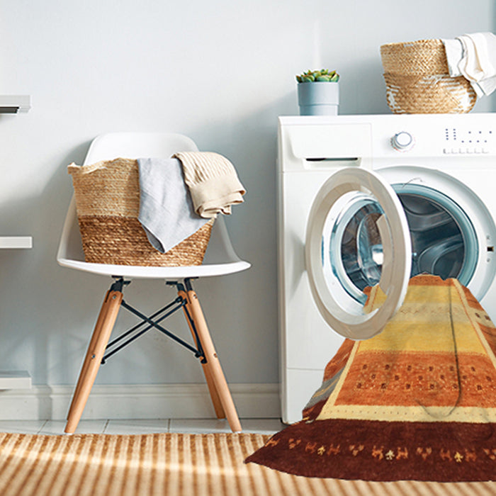 Machine Washable Contemporary Mahogany Brown Rug in a Washing Machine, wshcon1798