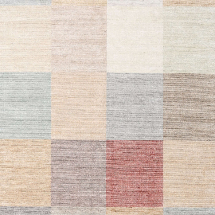 Contemporary Tan Brown Modern Rug, con1803