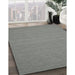 Machine Washable Contemporary Gunmetal Gray Rug in a Family Room, wshcon181