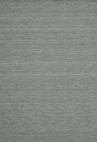 Machine Washable Contemporary Gunmetal Gray Rug, wshcon181