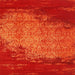 Square Contemporary Orange Red Modern Rug, con1820