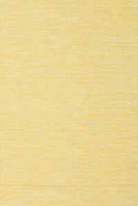 Machine Washable Contemporary Mustard Yellow Rug, wshcon1846