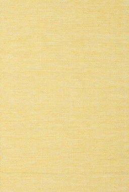 Contemporary Mustard Yellow Modern Rug, con1846