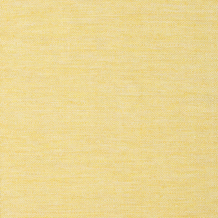 Contemporary Mustard Yellow Modern Rug, con1846