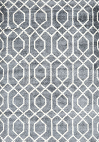 Machine Washable Contemporary Light Gray Rug, wshcon1851