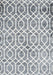 Machine Washable Contemporary Light Gray Rug, wshcon1851
