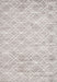 Contemporary Dark White Beige Modern Rug, con1855