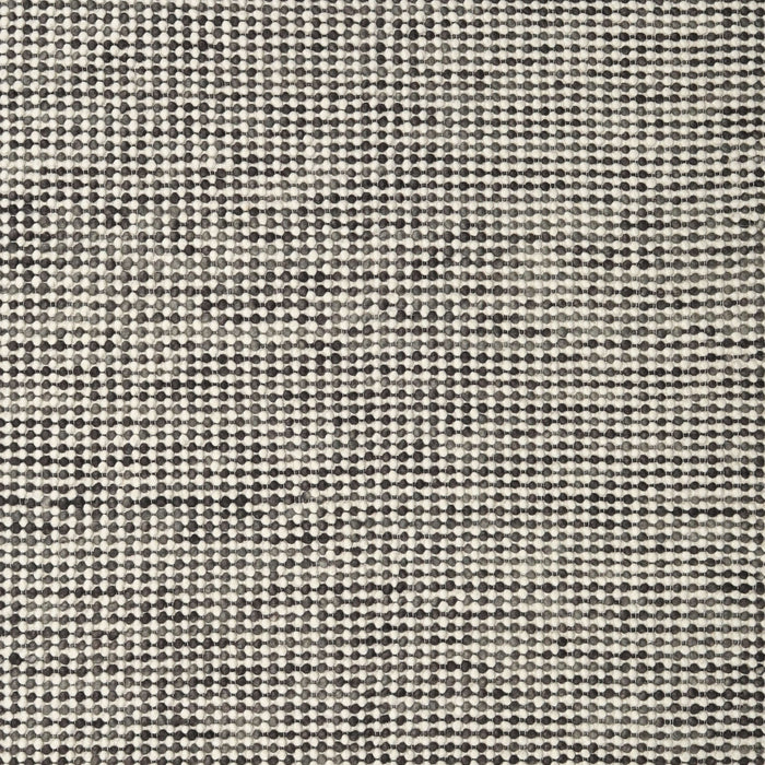 Machine Washable Contemporary Gray Rug, wshcon1858