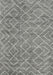 Contemporary Dark Gray Modern Rug, con1859