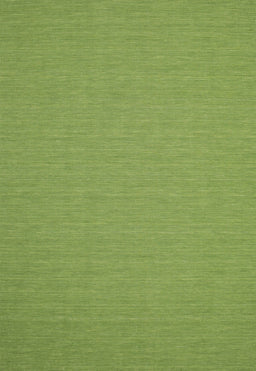Contemporary Pistachio Green Modern Rug, con185