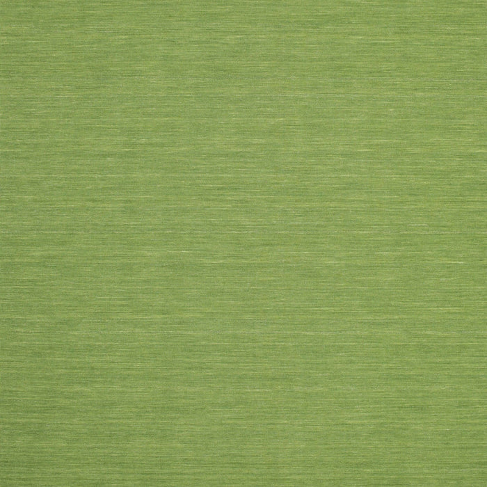 Contemporary Pistachio Green Modern Rug, con185