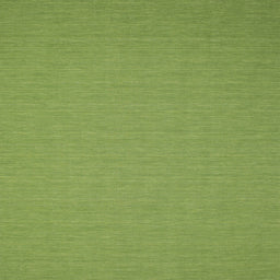 Sideview of Machine Washable Contemporary Pistachio Green Rug, wshcon185