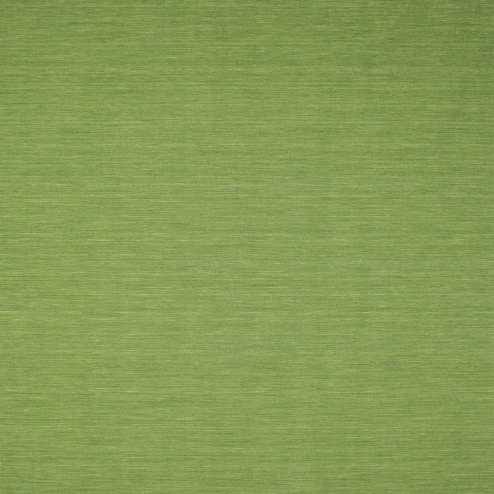 Sideview of Machine Washable Contemporary Pistachio Green Rug, wshcon185