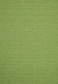 Machine Washable Contemporary Pistachio Green Rug, wshcon185