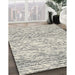 Machine Washable Contemporary Sage Green Rug in a Family Room, wshcon1862