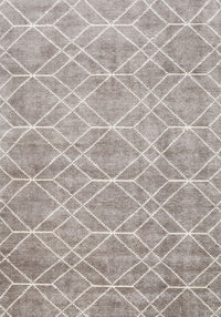 Machine Washable Contemporary Pale Silver Gray Rug, wshcon1865