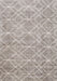 Machine Washable Contemporary Pale Silver Gray Rug, wshcon1865