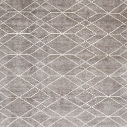Square Contemporary Pale Silver Gray Modern Rug, con1865