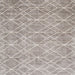 Square Contemporary Pale Silver Gray Modern Rug, con1865