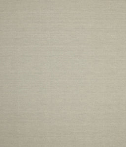 Contemporary Tan Brown Solid Rug, con186