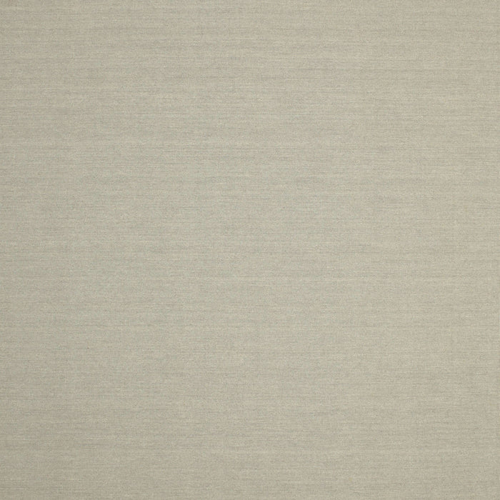 Contemporary Tan Brown Solid Rug, con186