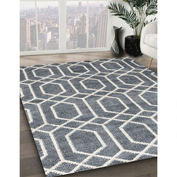 Contemporary Silver Gray Modern Rug in Family Room, con1875