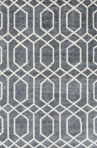 Machine Washable Contemporary Silver Gray Rug, wshcon1875