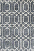 Machine Washable Contemporary Silver Gray Rug, wshcon1875