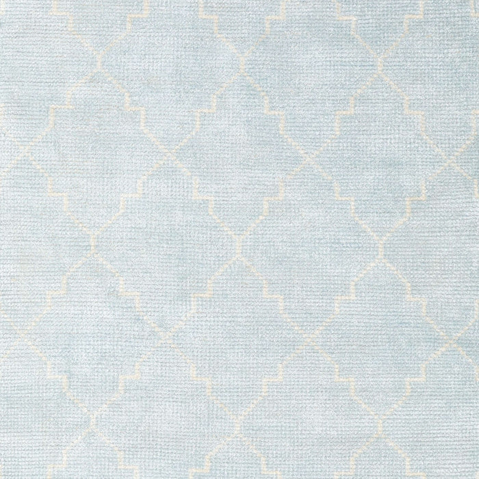 Machine Washable Contemporary Pale Blue Lily Blue Rug, wshcon1876