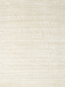 Machine Washable Contemporary Champagne Beige Rug, wshcon1894