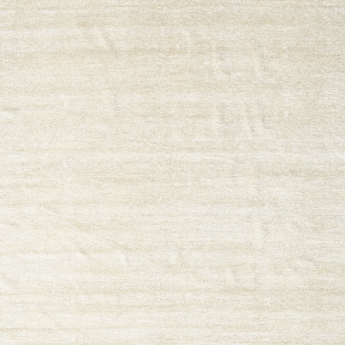 Contemporary Champagne Beige Solid Rug, con1894